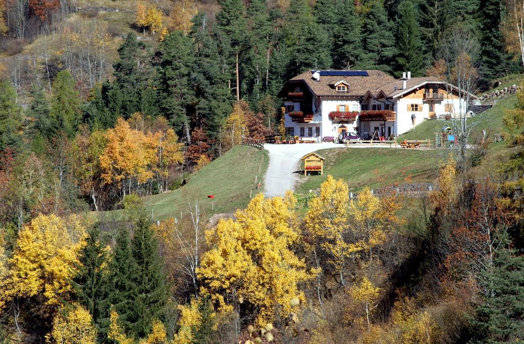 Hotel Agritur Fior Di Bosco Valfloriana Exterior foto